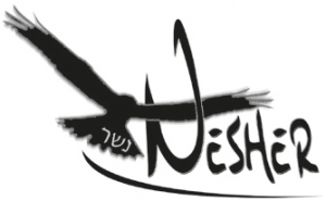 logo_nesher